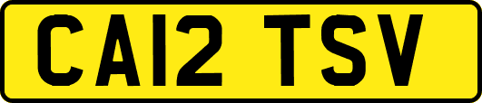 CA12TSV