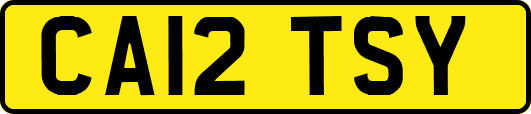 CA12TSY