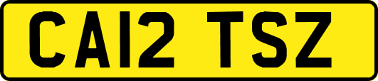 CA12TSZ
