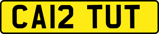 CA12TUT