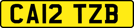 CA12TZB