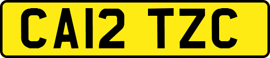 CA12TZC