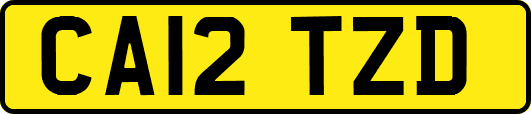 CA12TZD
