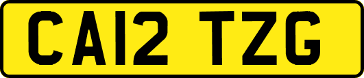 CA12TZG