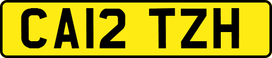 CA12TZH