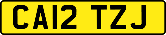 CA12TZJ