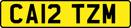 CA12TZM