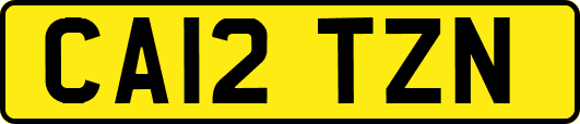 CA12TZN