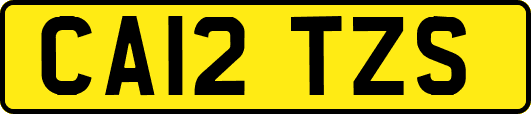CA12TZS