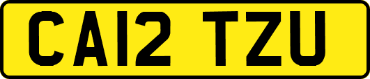 CA12TZU