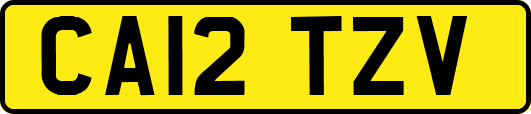 CA12TZV