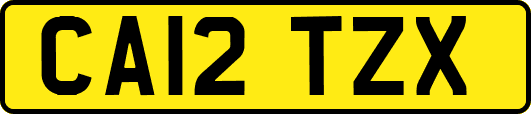 CA12TZX