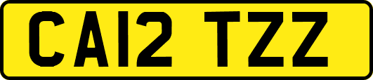 CA12TZZ
