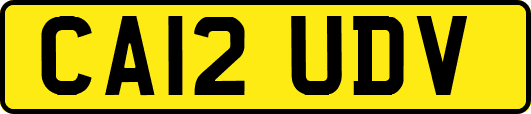 CA12UDV