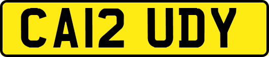 CA12UDY