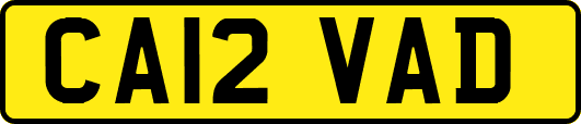 CA12VAD