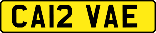 CA12VAE