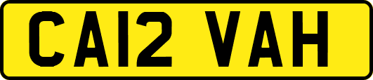 CA12VAH