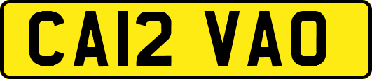 CA12VAO