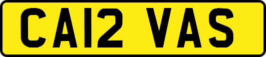 CA12VAS