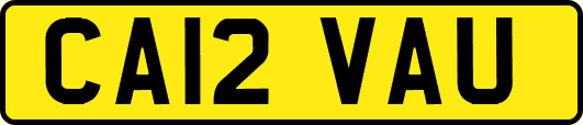 CA12VAU