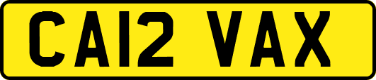 CA12VAX