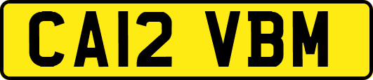CA12VBM
