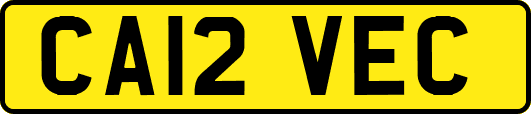 CA12VEC