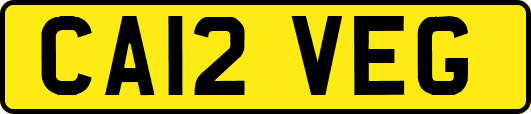 CA12VEG