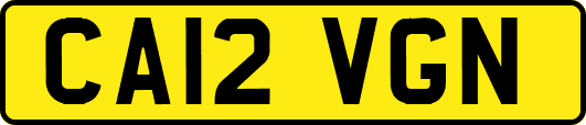 CA12VGN