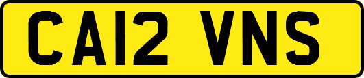 CA12VNS