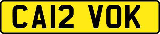 CA12VOK