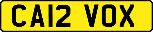 CA12VOX
