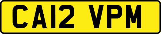CA12VPM