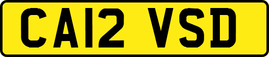 CA12VSD