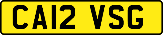 CA12VSG