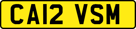 CA12VSM