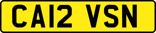 CA12VSN