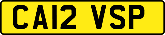 CA12VSP