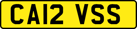 CA12VSS