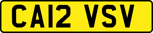 CA12VSV