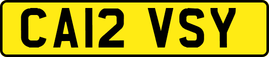CA12VSY