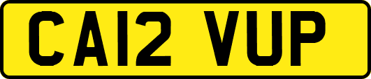 CA12VUP