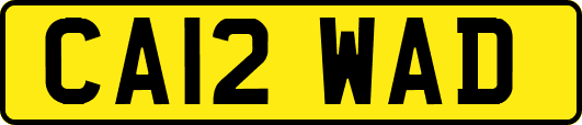 CA12WAD