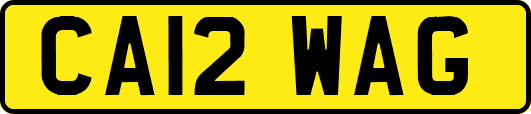 CA12WAG