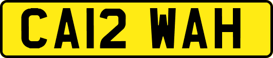 CA12WAH