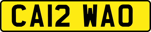 CA12WAO