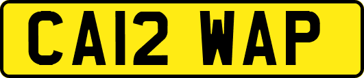 CA12WAP