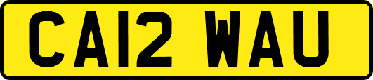 CA12WAU