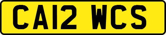 CA12WCS